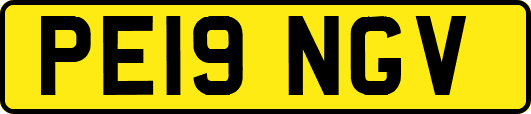 PE19NGV