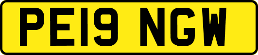 PE19NGW