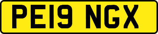 PE19NGX
