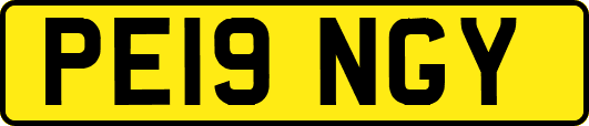 PE19NGY
