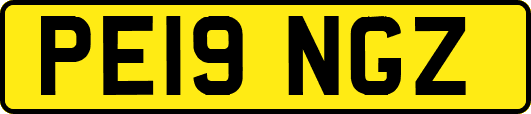 PE19NGZ
