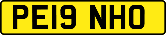 PE19NHO