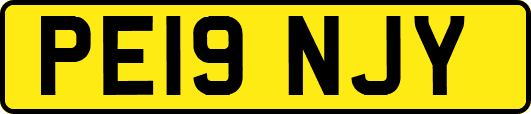 PE19NJY