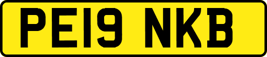 PE19NKB