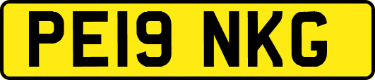 PE19NKG