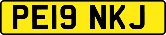 PE19NKJ