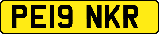 PE19NKR
