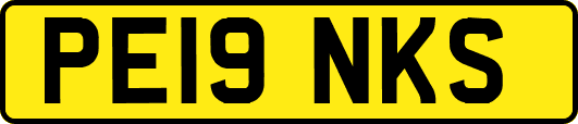 PE19NKS