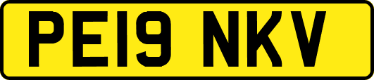 PE19NKV