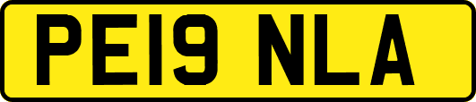 PE19NLA