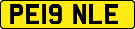 PE19NLE