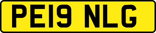 PE19NLG