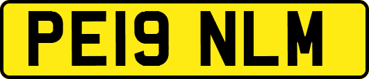 PE19NLM