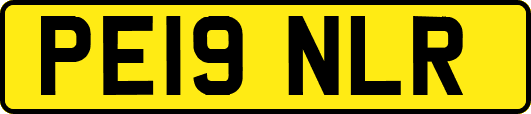 PE19NLR