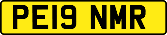 PE19NMR