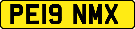 PE19NMX