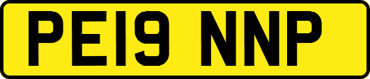 PE19NNP