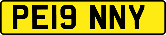 PE19NNY