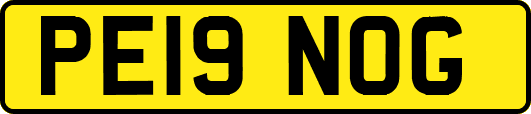 PE19NOG