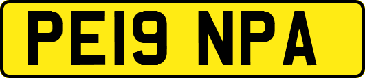 PE19NPA