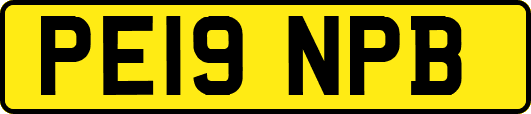 PE19NPB
