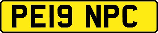 PE19NPC