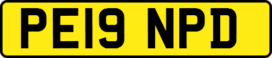 PE19NPD