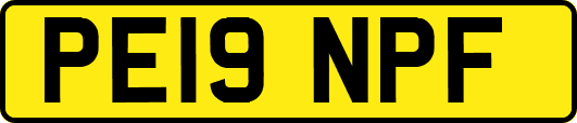 PE19NPF