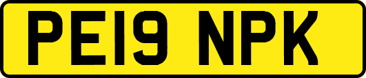 PE19NPK