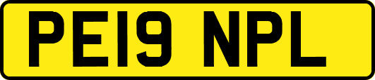 PE19NPL