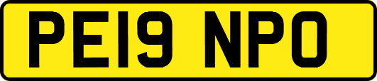 PE19NPO