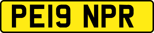 PE19NPR