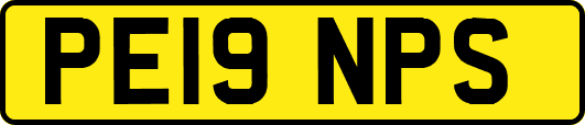 PE19NPS