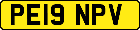 PE19NPV