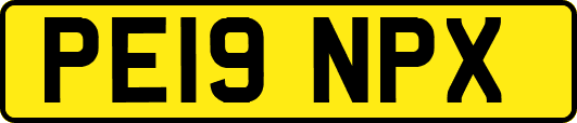 PE19NPX