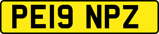 PE19NPZ