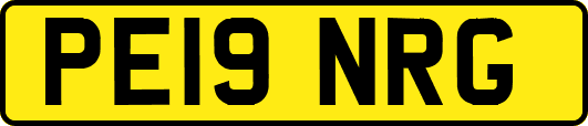 PE19NRG