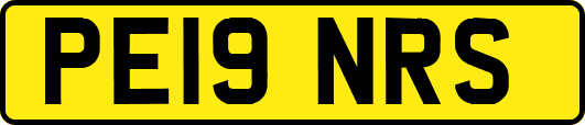 PE19NRS