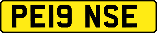 PE19NSE