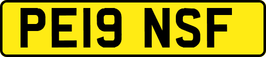 PE19NSF