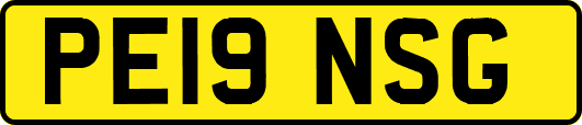 PE19NSG