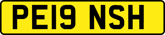 PE19NSH