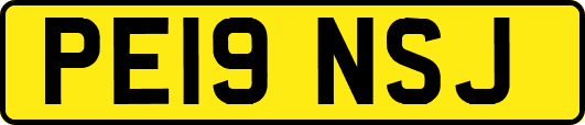 PE19NSJ