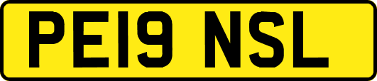 PE19NSL