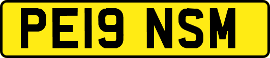 PE19NSM