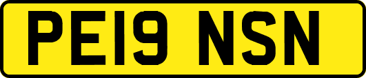 PE19NSN