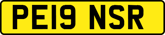 PE19NSR