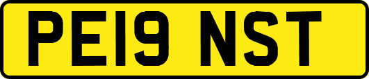 PE19NST