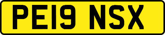 PE19NSX