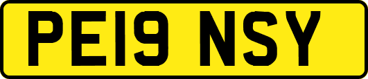 PE19NSY